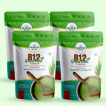 B12 Combo Pack (4 Combo Pack) – B12 Powder Surat | Vitamin B12 Powder in India | Prisha Ayurvedic Nirant B12 Powder